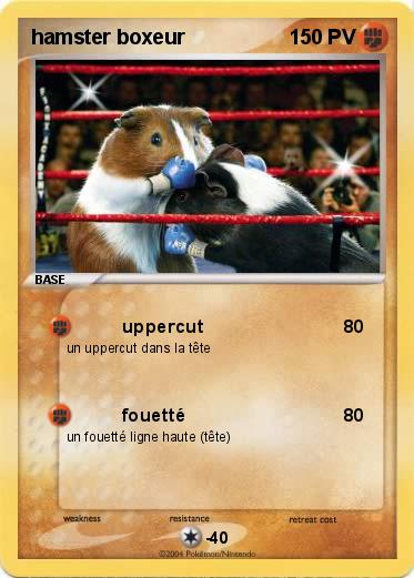 Pokemon hamster boxeur