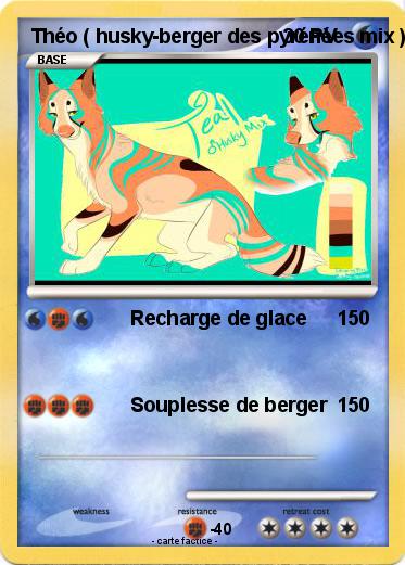 Pokemon Théo ( husky-berger des pyrénées mix )