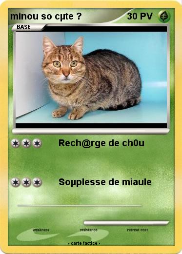 Pokemon minou so cµte ?