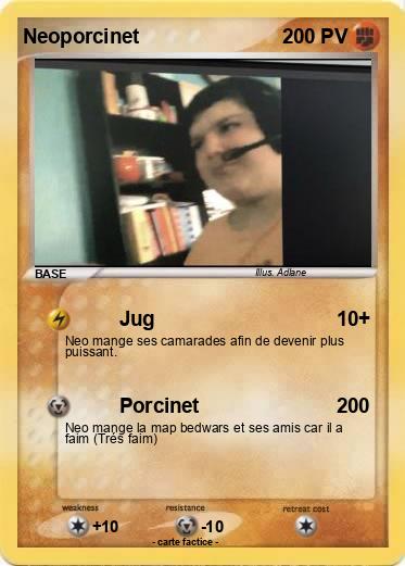 Pokemon Neoporcinet