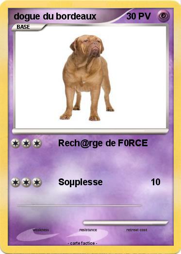 Pokemon dogue du bordeaux
