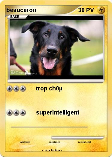 Pokemon beauceron