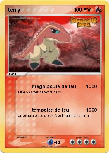 Pokemon terry                                    1