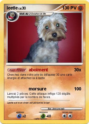 Pokemon leetle