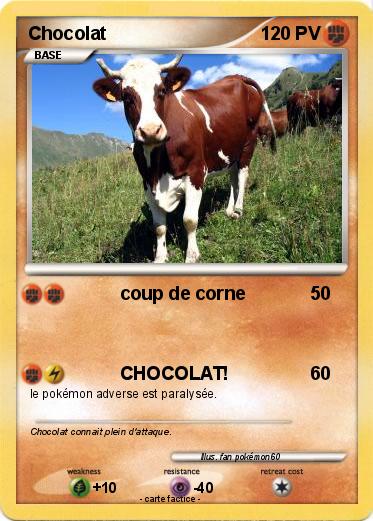 Pokemon Chocolat