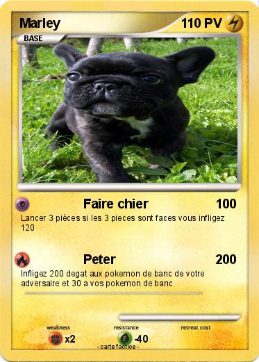Pokemon Marley