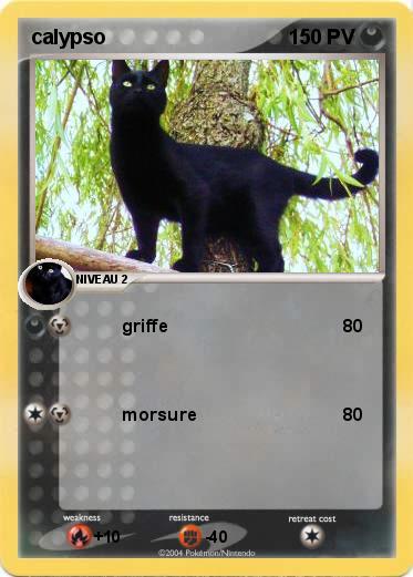 Pokemon calypso