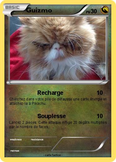 Pokemon Guizmo