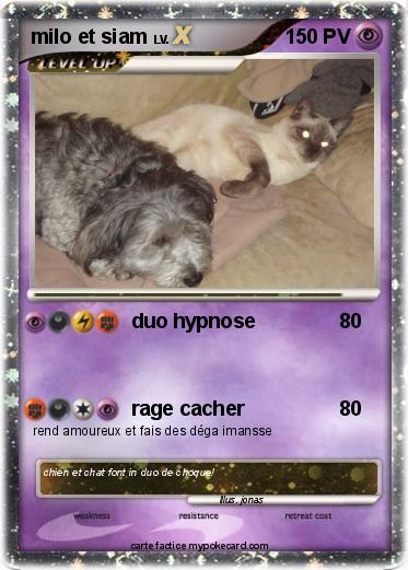 Pokemon milo et siam