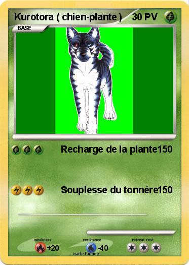 Pokemon Kurotora ( chien-plante )