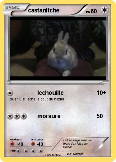 Pokemon castanitche