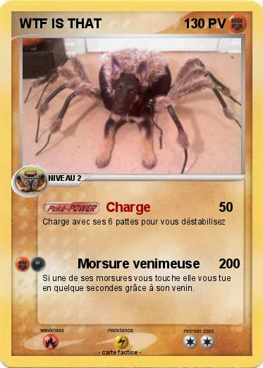 Pokemon WTF IS THAT