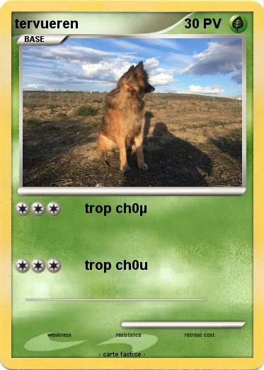 Pokemon tervueren