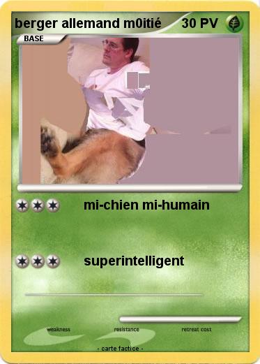 Pokemon berger allemand m0itié