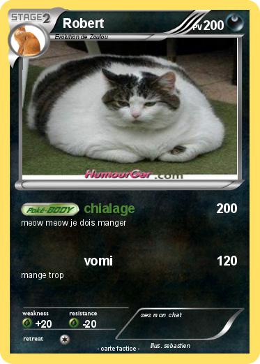 Pokemon Robert