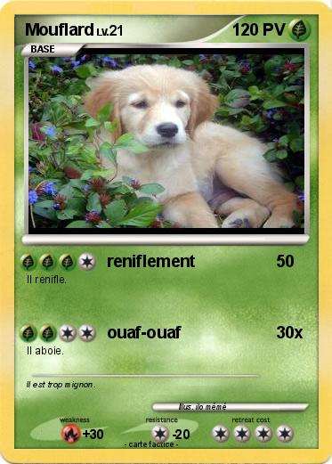 Pokemon Mouflard