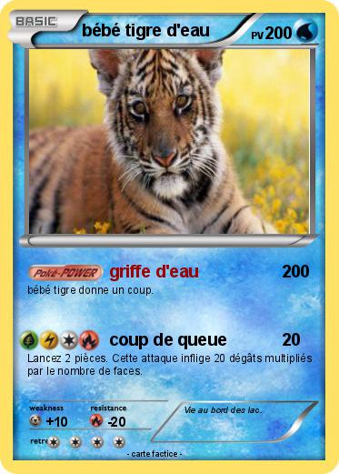 Pokemon bébé tigre d'eau