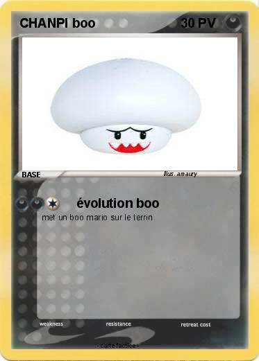 Pokemon CHANPI boo