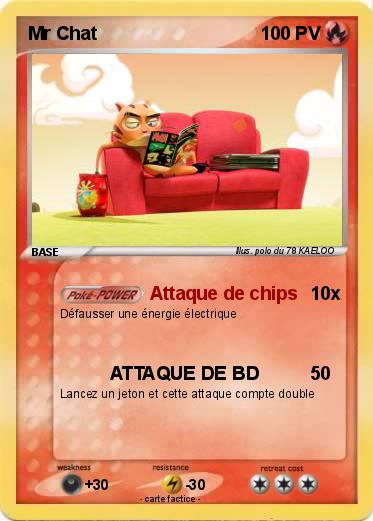 Pokemon Mr Chat