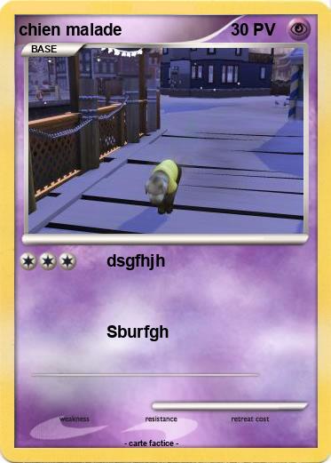Pokemon chien malade