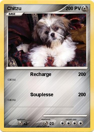 Pokemon Chitzu