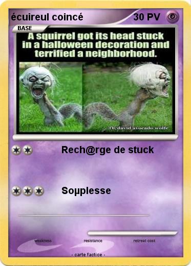 Pokemon écuireul coincé