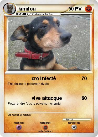 Pokemon kimifou