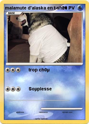 Pokemon malamute d'alaska en t-shirt