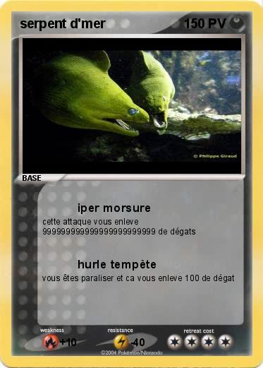 Pokemon serpent d'mer