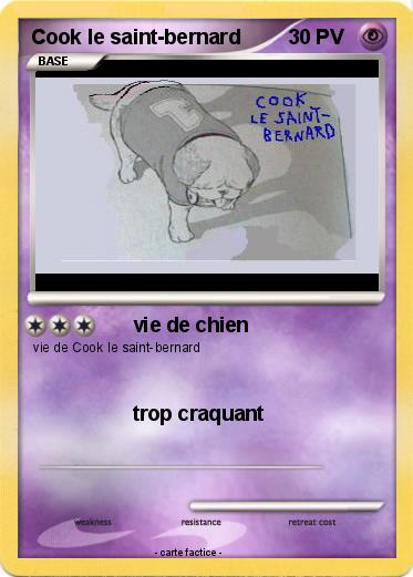 Pokemon Cook le saint-bernard