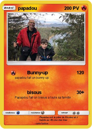 Pokemon papadou