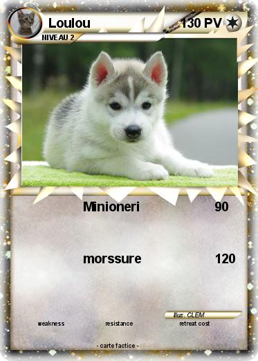 Pokemon Loulou