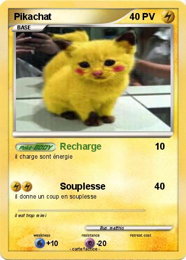 Pokemon Pikachat