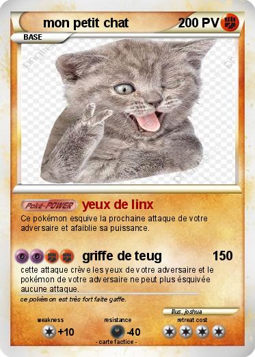 Pokemon mon petit chat