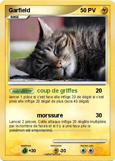 Pokemon Garfield