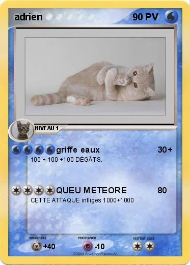 Pokemon adrien
