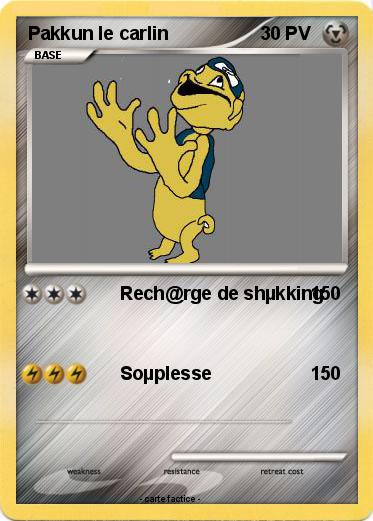 Pokemon Pakkun le carlin