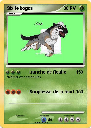 Pokemon Six le kogas