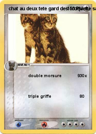 Pokemon  chat au deux tete gard des croquette sacer
