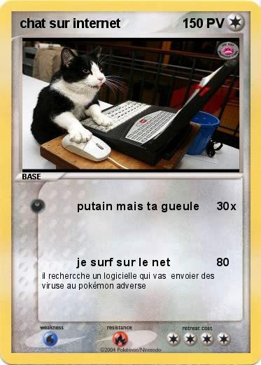 Pokemon chat sur internet