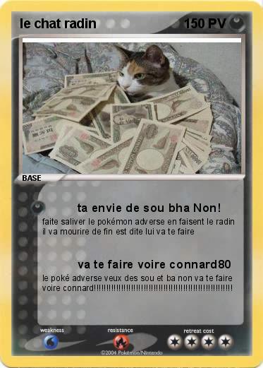 Pokemon le chat radin
