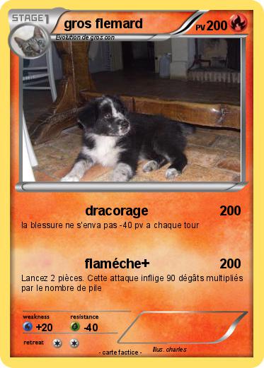 Pokemon gros flemard