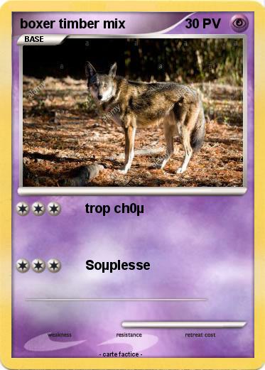 Pokemon boxer timber mix