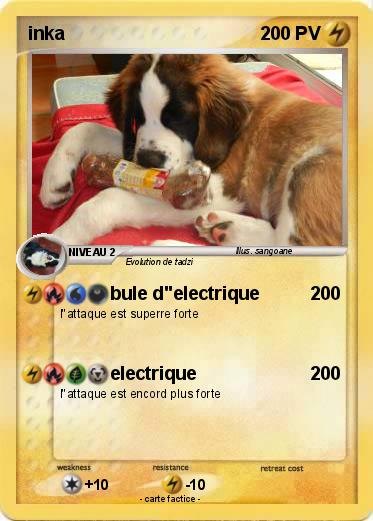 Pokemon inka