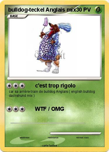 Pokemon bulldog-teckel Anglais mix