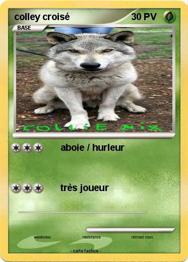 Pokemon colley croisé