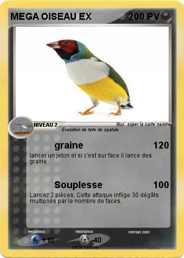 Pokemon MEGA OISEAU EX
