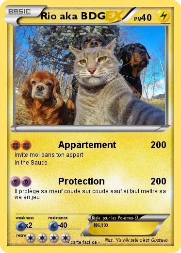 Pokemon Rio aka BDG