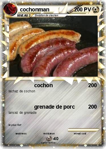 Pokemon cochonman