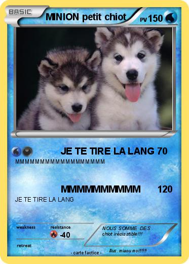 Pokemon MINION petit chiot